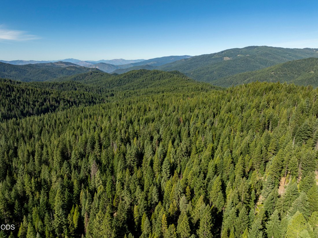Farm Ranch in Ashland, Oregon, United States 3 - 18480725