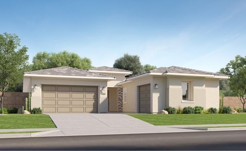 House in San Tan Valley, Arizona, United States 1