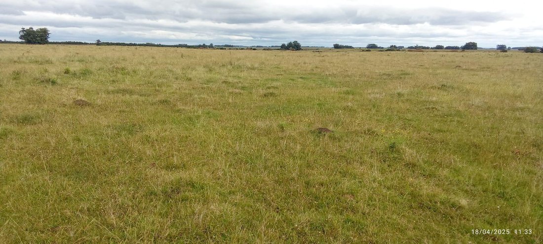 Farm Ranch in La Aguada y Costa Azul, Rocha Department, Uruguay 4 - 18478692