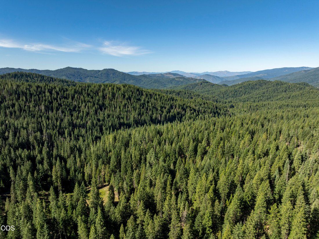 Farm Ranch in Ashland, Oregon, United States 4 - 18480725