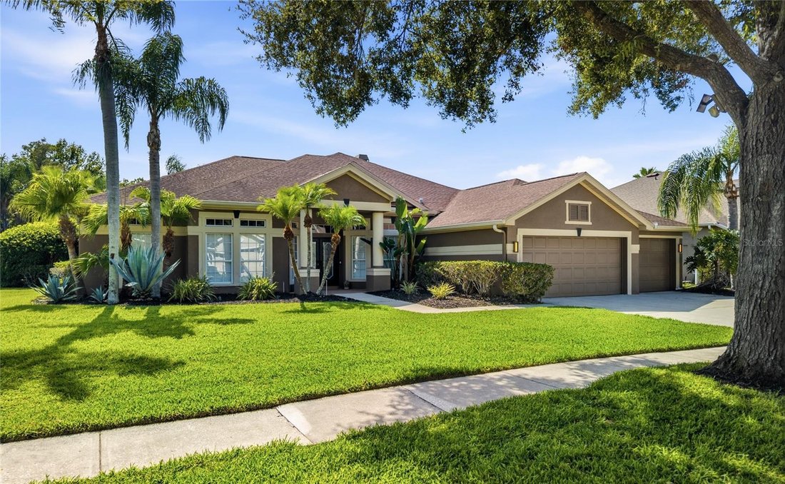 House in Land O' Lakes, Florida, United States 2 - 18478662