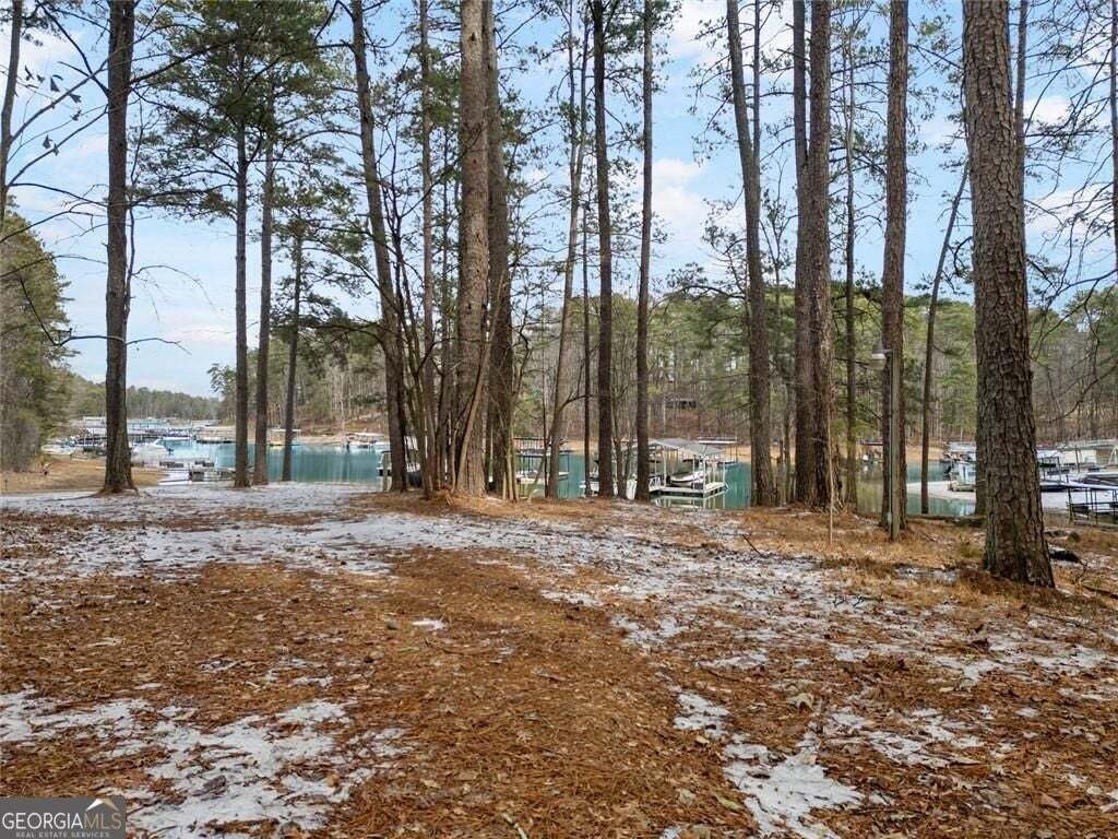 Buford, Georgia, United States 3 - 17348374