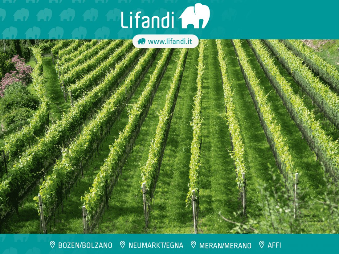 Land in Piani-Rencio Center / Piani-Rencio Zentrum, Bolzano / Bozen, Trentino – Alto Adige/Südtirol 1 - 18479644