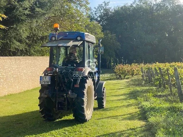 Farm Ranch in Neuville-de-Poitou, Nouvelle-Aquitaine, France 4 - 13848240