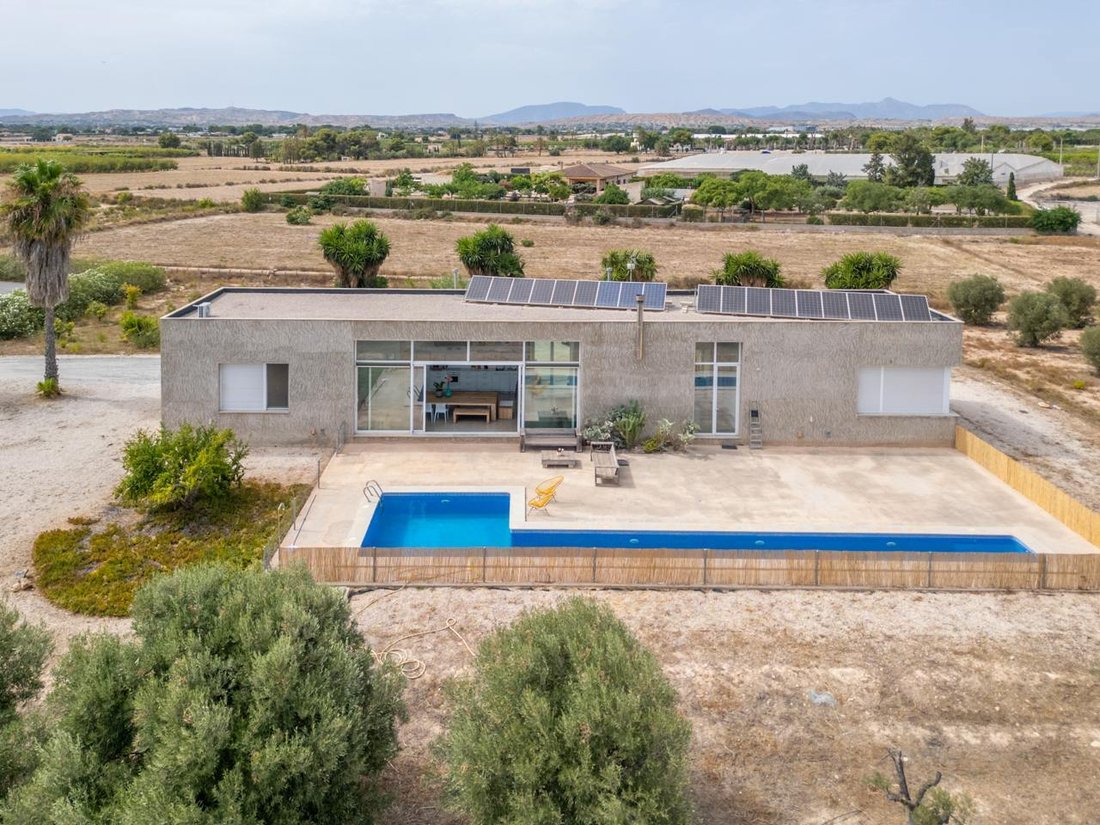 Villa in Elx / Elche, Valencian Community, Spain 1 - 18474581