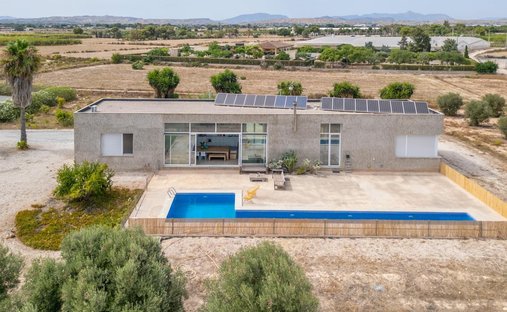 Villa in Elx / Elche, Valencian Community, Spain 1