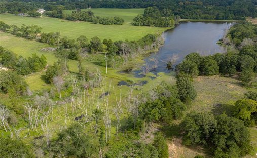 Terreno a Murchison, Texas, Stati Uniti 1