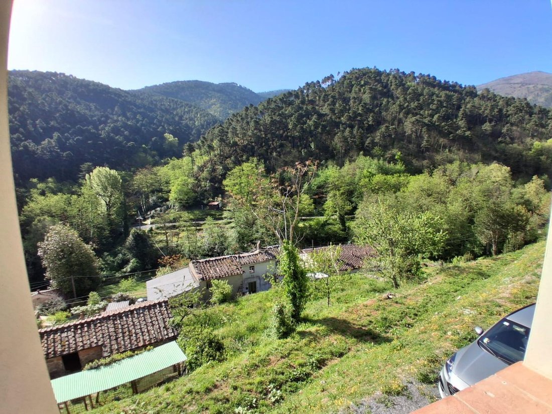 Compitese, Capannori, Tuscany 5 - 18479158