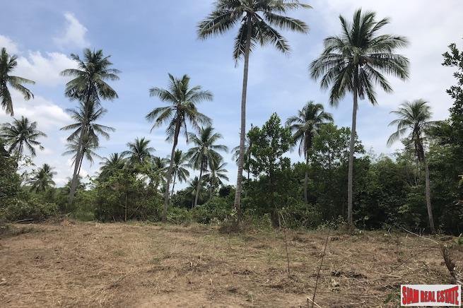 Land in Thai Mueang, Phang-nga, Thailand 4 - 18476146