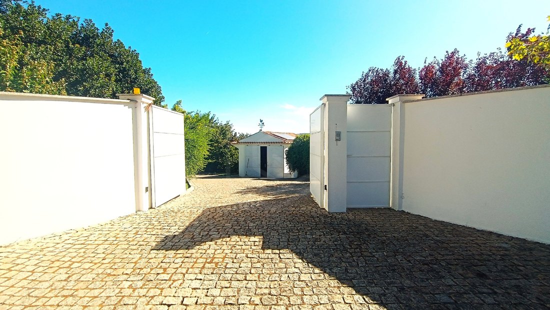 Finca in Caria, Castelo Branco District, Portugal 2 - 18479589