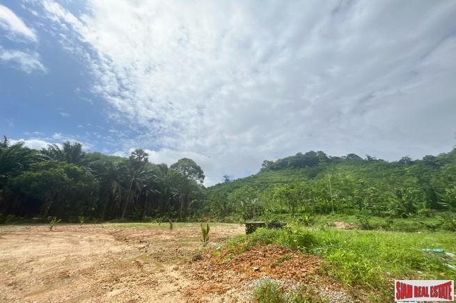 Land in Tha Yu, Phang-nga, Thailand 5 - 18476682