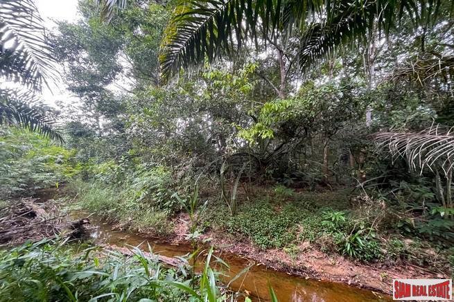 Land in Thai Mueang, Phang-nga, Thailand 5 - 18476647