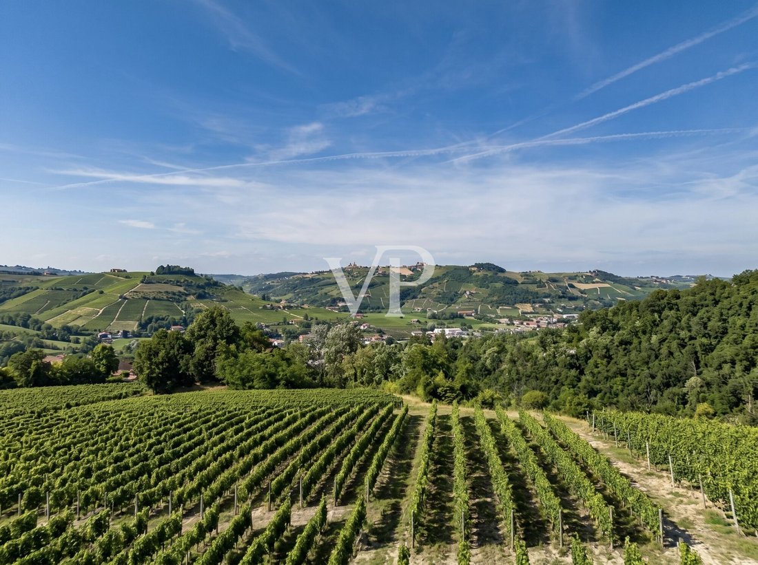 House in Santo Stefano Belbo, Piedmont, Italy 4 - 18404348