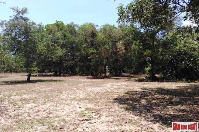 Land in Thai Mueang, Phang-nga, Thailand 5 - 18476169