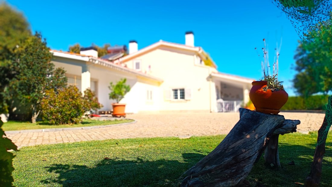 Finca in Caria, Castelo Branco District, Portugal 1 - 18479589
