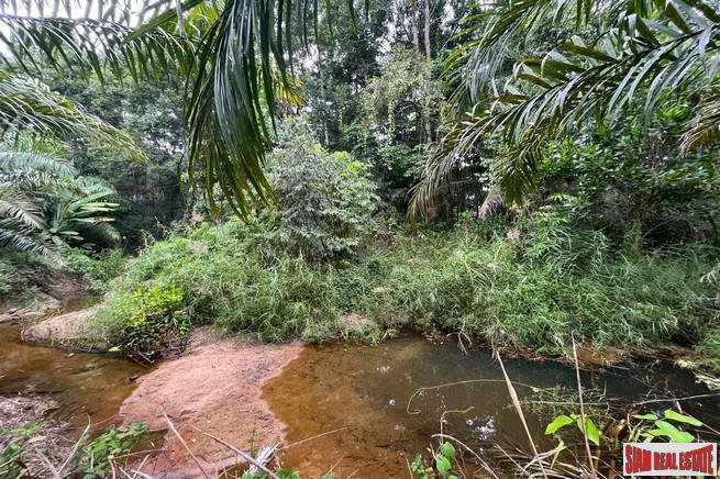 Land in Thai Mueang, Phang-nga, Thailand 4 - 18476647