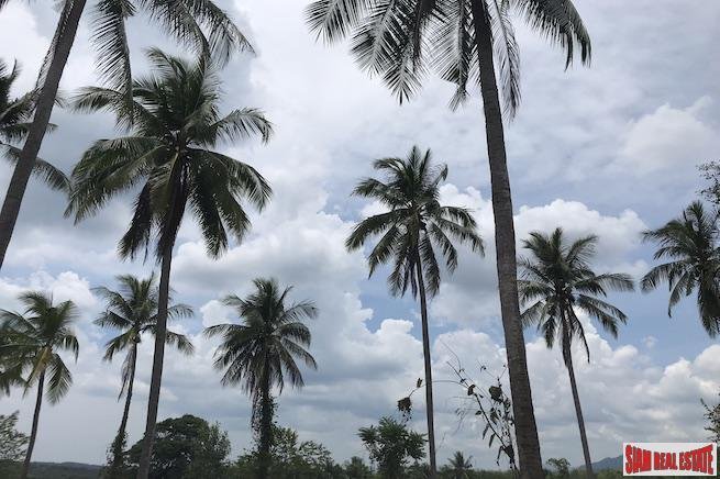 Land in Thai Mueang, Phang-nga, Thailand 5 - 18476146