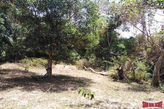 Land in Thai Mueang, Phang-nga, Thailand 2 - 18476169