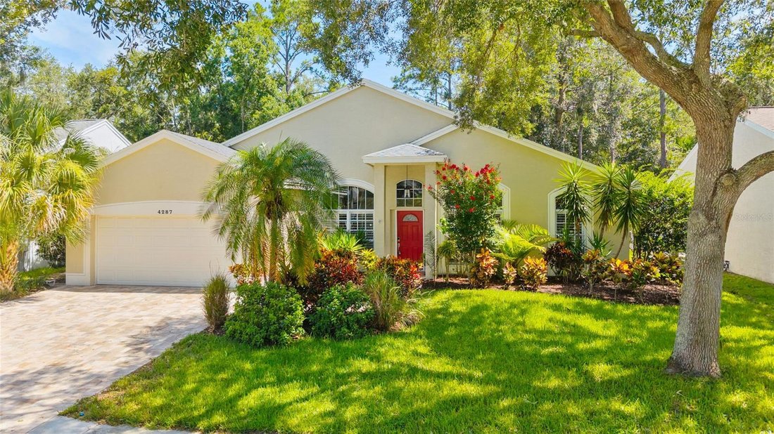 House in Palm Harbor, Florida, United States 2 - 18478065