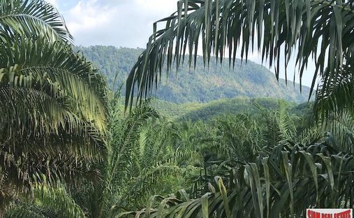 Land in Tham, Phang-nga, Thailand 1