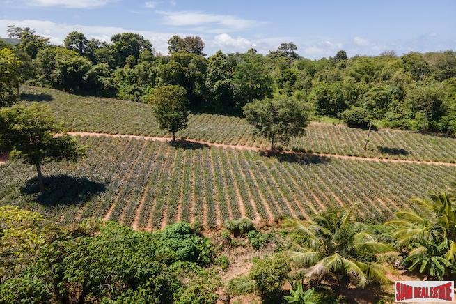 Land in Mai Khao, Phuket, Thailand 1 - 18475838