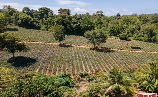 Land in Mai Khao, Phuket, Thailand 1