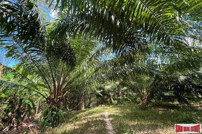 Terreno a Lo Yung, Provincia di Phang Nga, Thailandia 4 - 18476654
