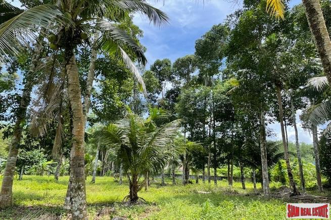 Land in Pa Klok, Phuket, Thailand 3 - 18476258