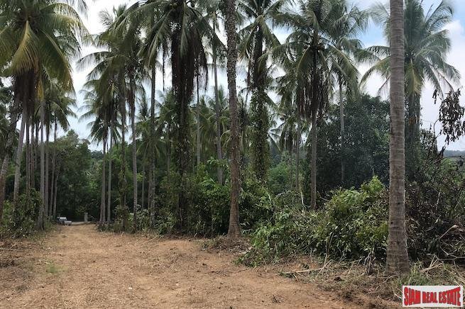 Land in Thai Mueang, Phang-nga, Thailand 1 - 18476146