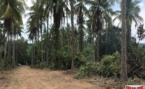 Land in Thai Mueang, Phang-nga, Thailand 1