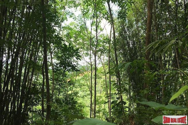 Land in Tha Yu, Phang-nga, Thailand 4 - 18476193