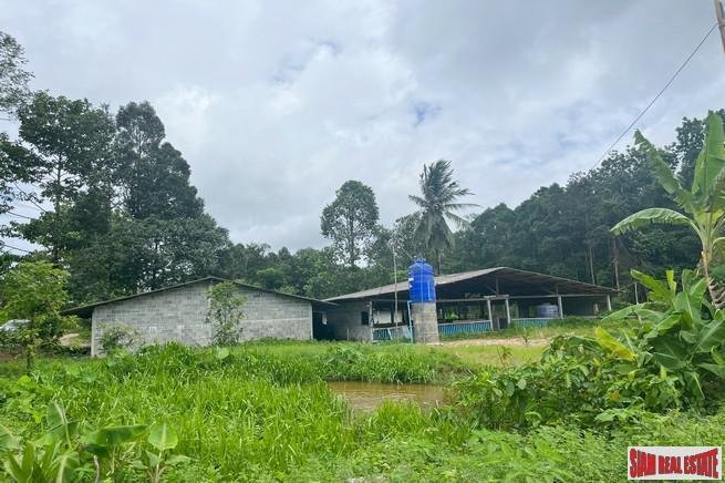 Land in Tha Yu, Phang-nga, Thailand 4 - 18476682