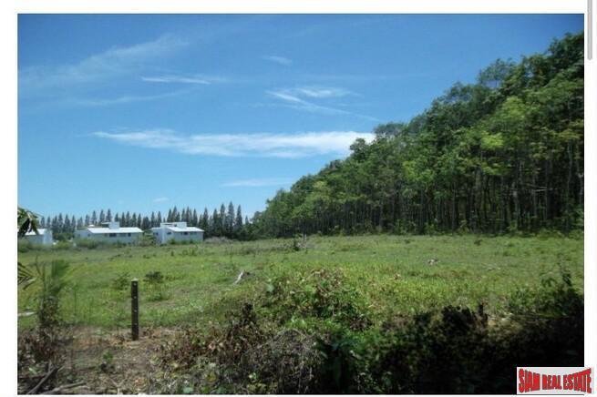 Land in Pa Klok, Phuket, Thailand 1 - 18476463