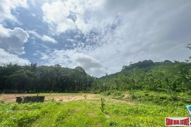 Land in Tha Yu, Phang-nga, Thailand 3 - 18476682