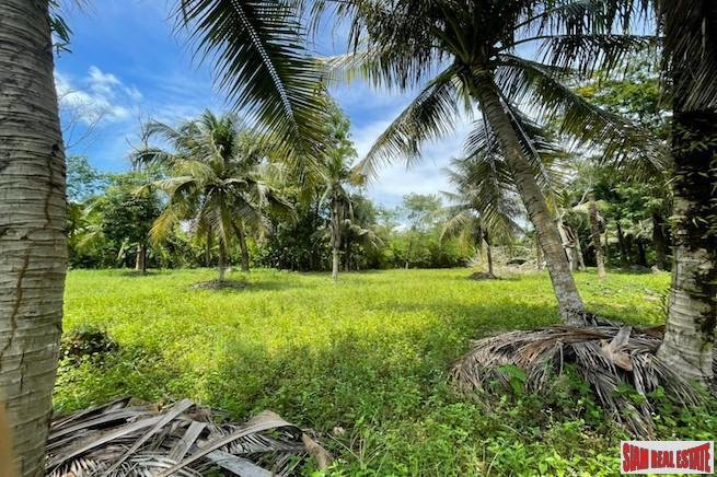 Land in Pa Klok, Phuket, Thailand 4 - 18476258