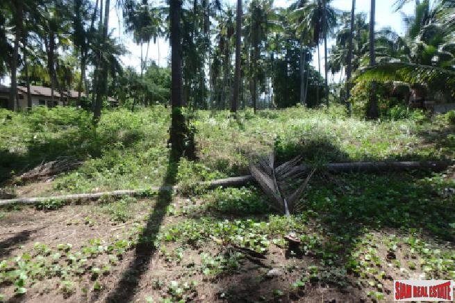 Land in Koh Samui, Surat Thani, Thailand 3 - 18476190