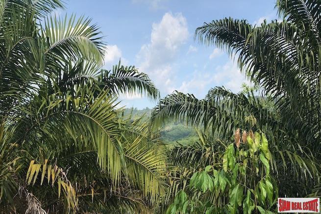 Terrain à Tham, Phang Nga, Thaïlande 4 - 18476194