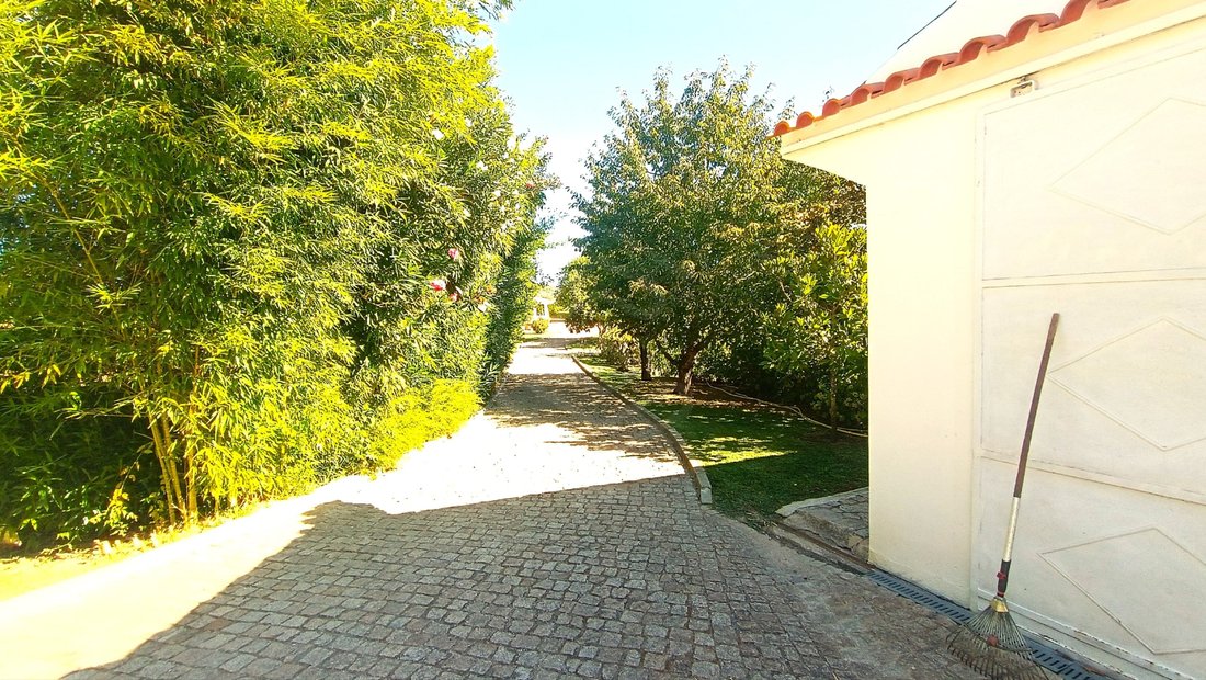 Finca in Caria, Castelo Branco District, Portugal 5 - 18479589