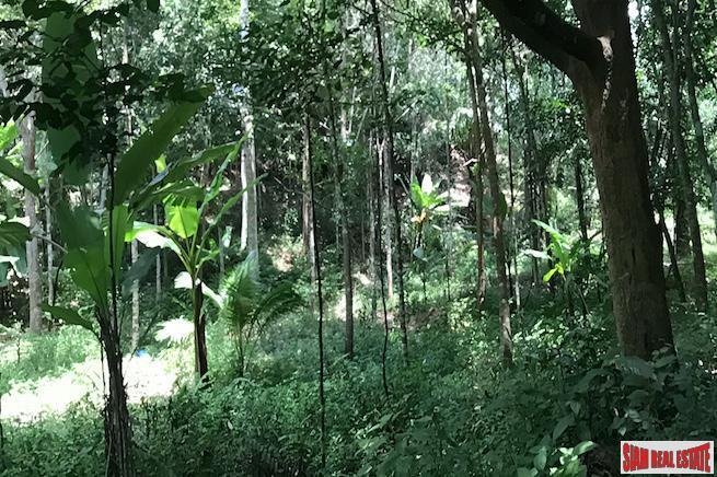 Land in Tha Yu, Phang-nga, Thailand 3 - 18476193