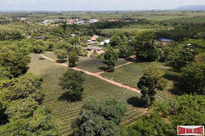 Land in Mai Khao, Phuket, Thailand 3 - 18475838