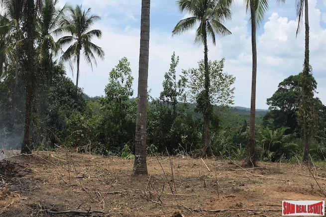 Land in Thai Mueang, Phang-nga, Thailand 3 - 18476146