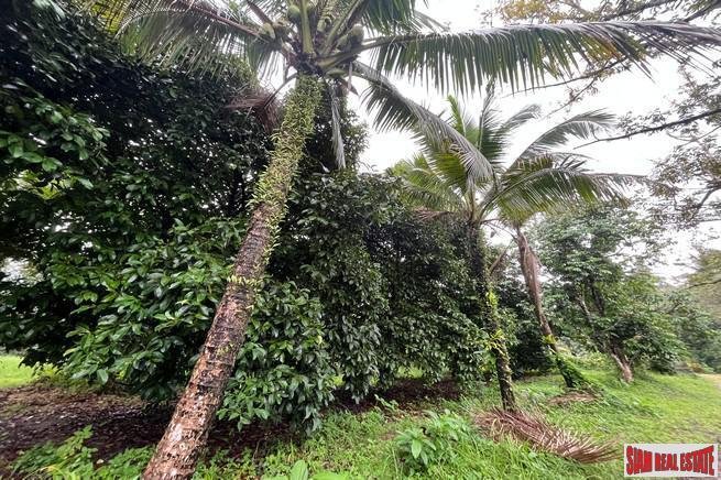 Land in Thai Mueang, Phang-nga, Thailand 3 - 18476647