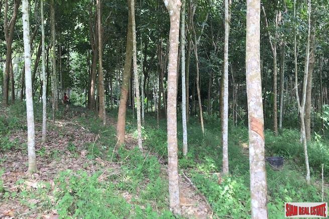 Land in Tha Yu, Phang-nga, Thailand 5 - 18476193