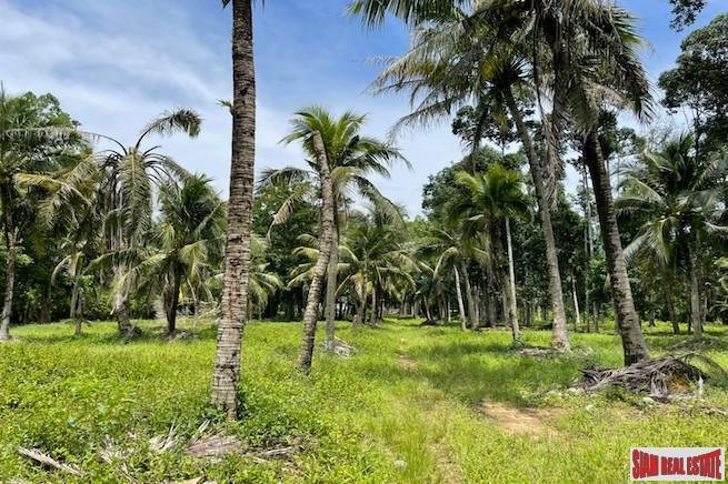 Land in Pa Klok, Phuket, Thailand 1 - 18476258