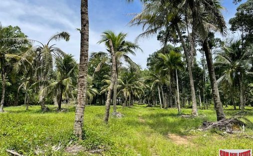 Land in Pa Klok, Phuket, Thailand 1