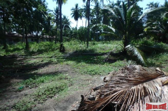 Land in Koh Samui, Surat Thani, Thailand 5 - 18476190