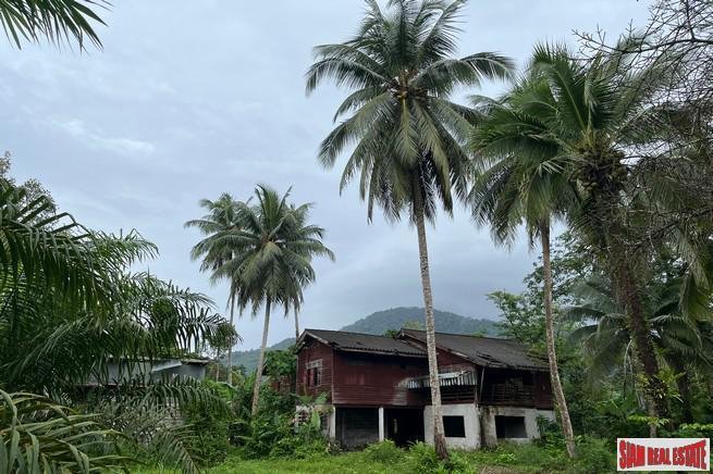 Land in Thai Mueang, Phang-nga, Thailand 1 - 18476647