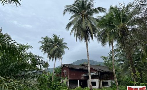 Land in Thai Mueang, Phang-nga, Thailand 1