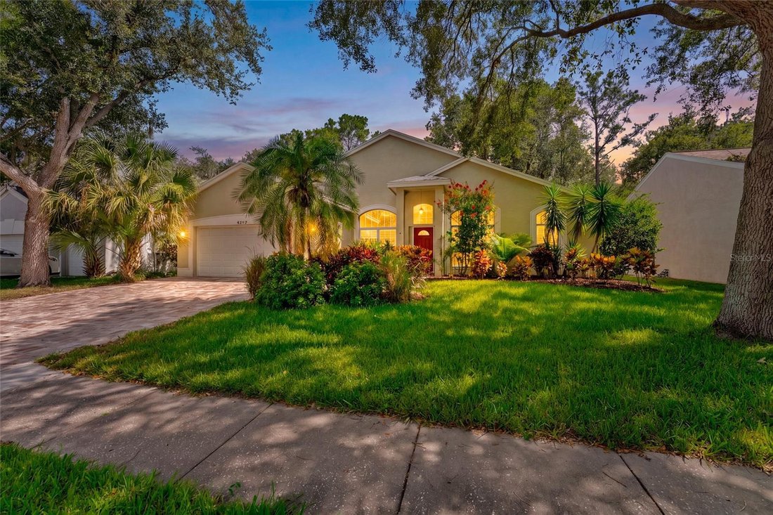 House in Palm Harbor, Florida, United States 1 - 18478065