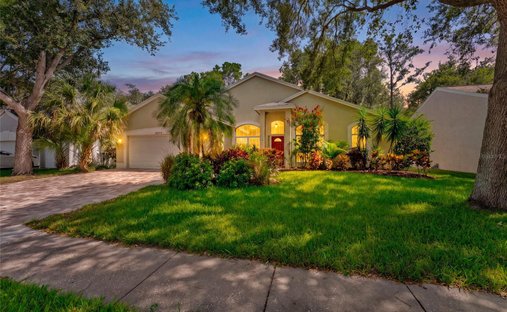 Maison à Palm Harbor, Floride, États-Unis 1